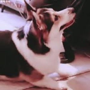 Meet your Posher, Ezra